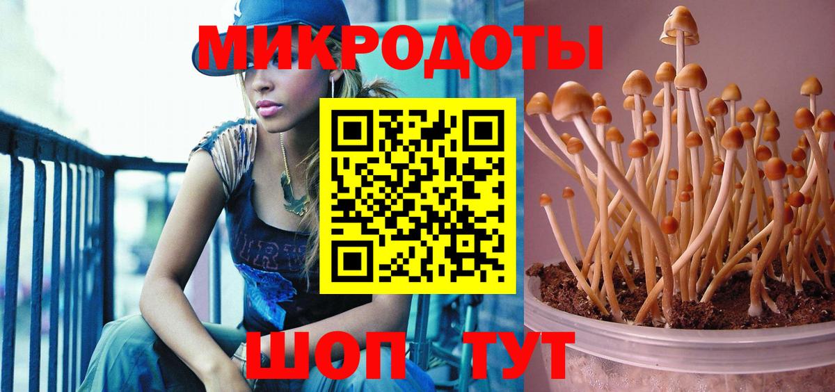 Трёхгорный  Псилоцибиновые грибы мицелий  Вход с VPN 